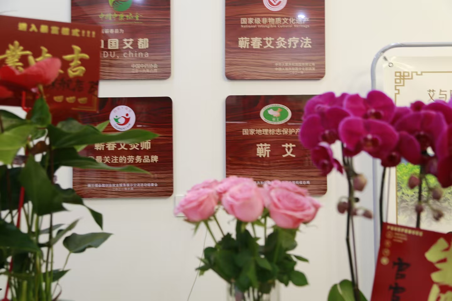 当阳2.jpg