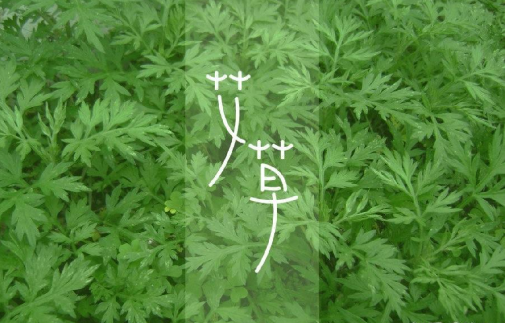 体内寒气从何而来？现代人体寒的根源与科学调理思路
