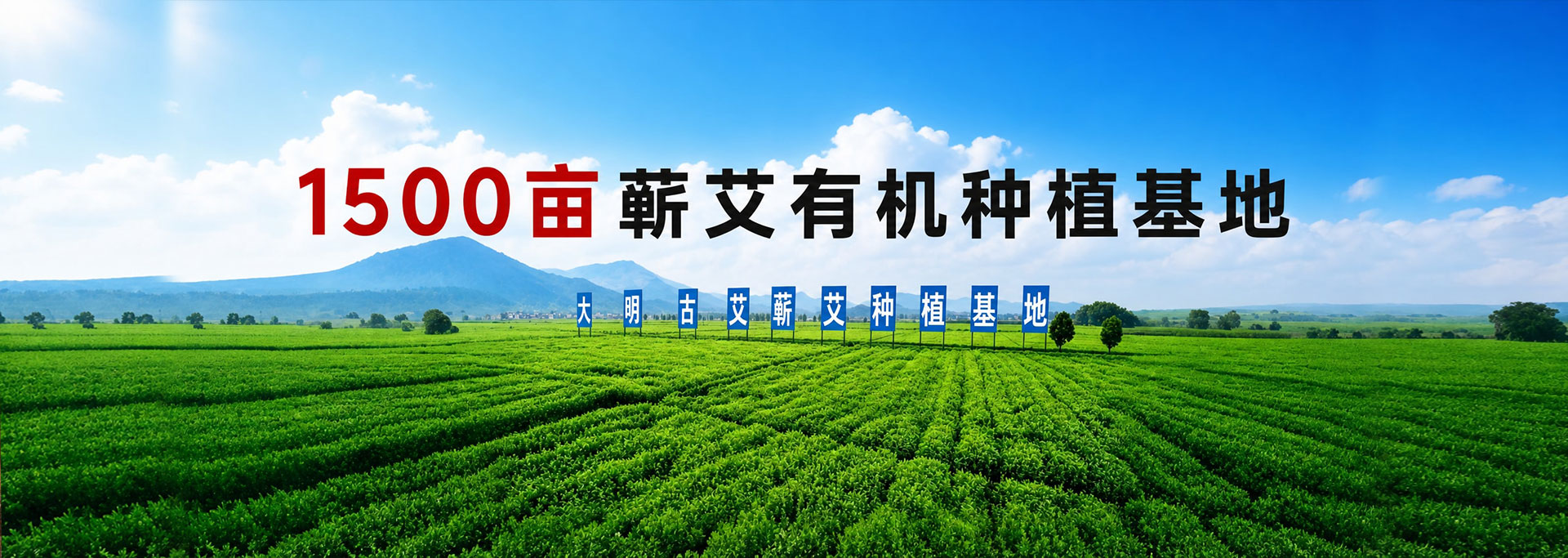 首页轮播3