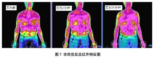1574735795805868.jpg 3.jpg