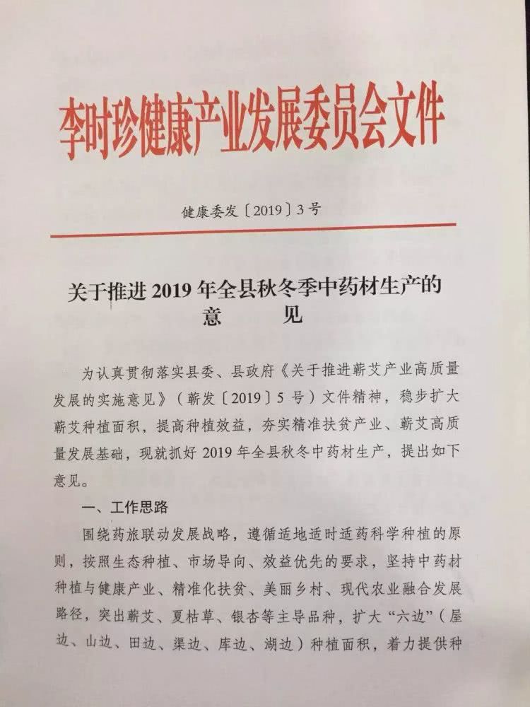 1575527826878415.jpg 蕲艾种植.jpg