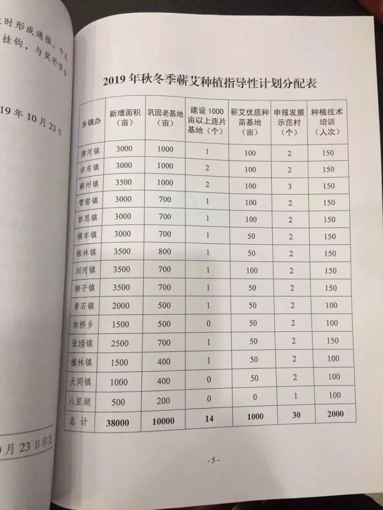 1575527837980662.jpg 蕲艾种植2.jpg