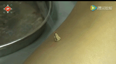 913ca1640efb8fd4b8c2acf58e2e9b8a9053.gif