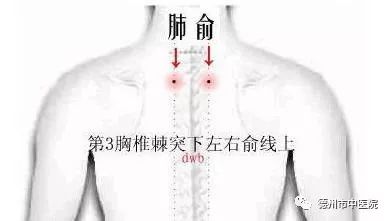 1581570811117249.jpeg 飞羽.jpeg