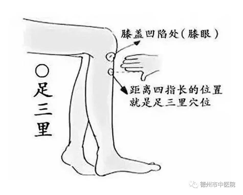 1581570849340944.jpeg 足三里.jpeg