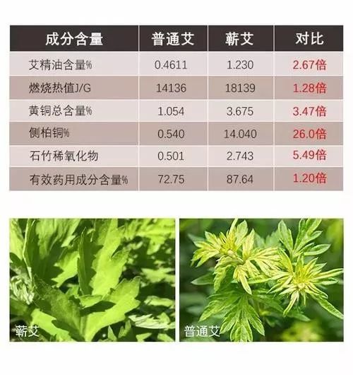 1606024644120958.jpg 3.jpg